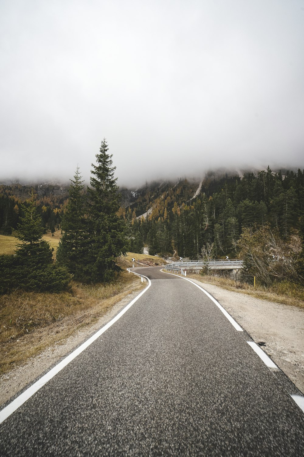 an empty road in the middle of a forest