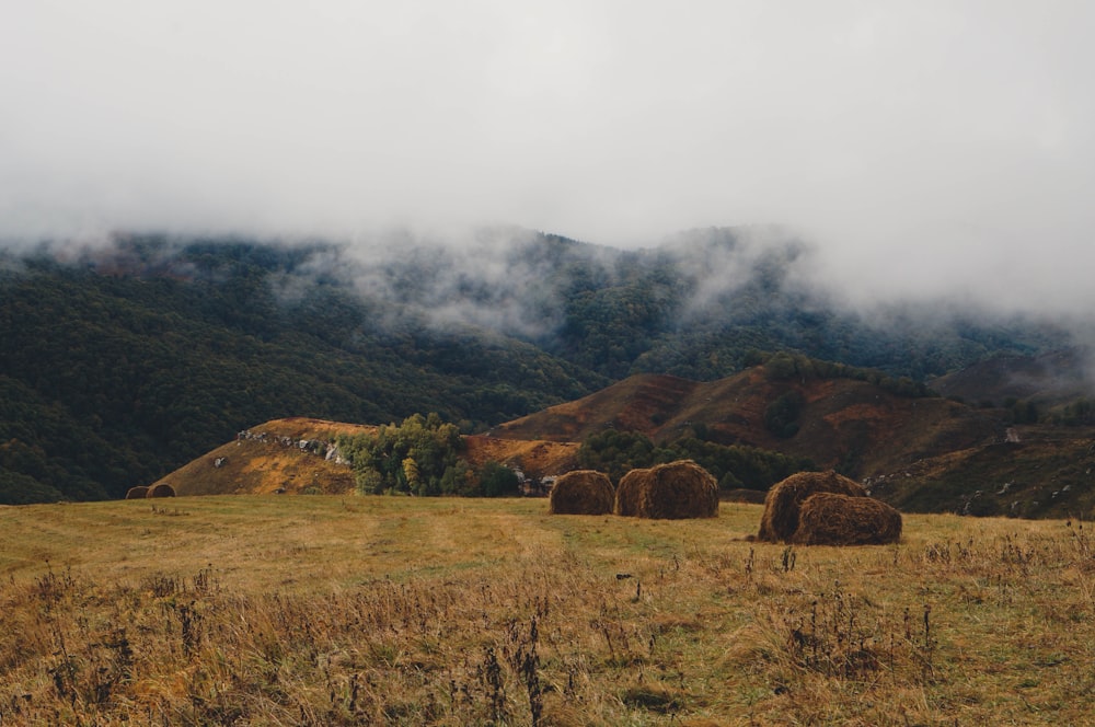 a field with hay bales in the foreground and mountains in the background