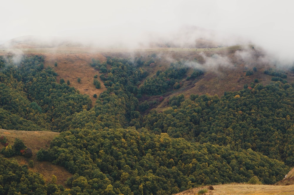 a view of a lush green hillside covered in clouds