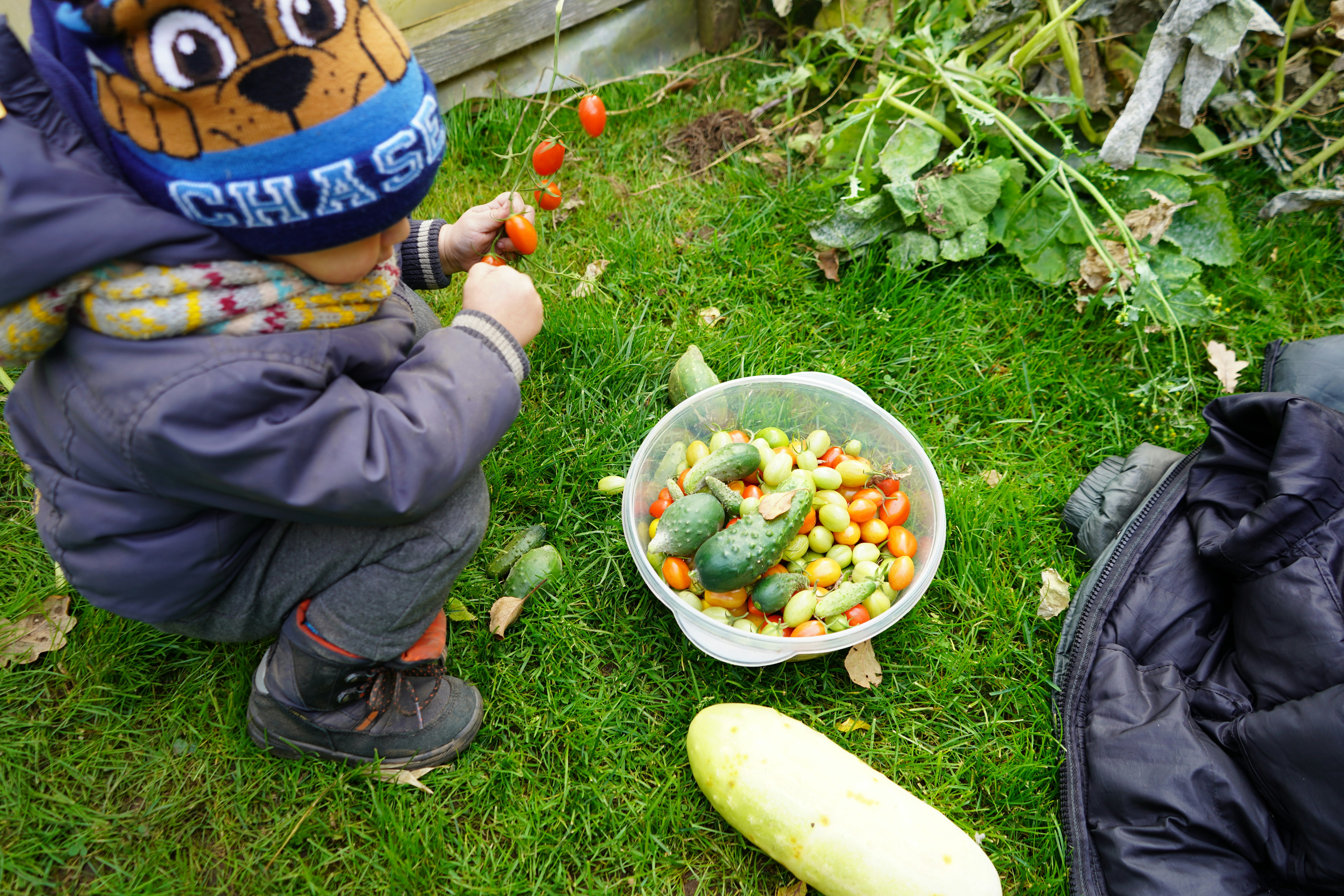 a child in a blue hat is eating vegetables
