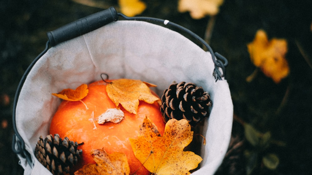 a bag filled with oranges and pine cones