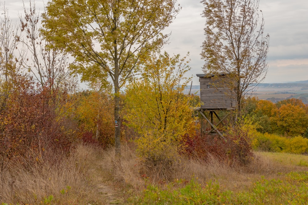 a tree house in the middle of a field