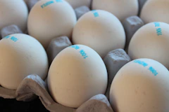 a bunch of eggs that are in a carton