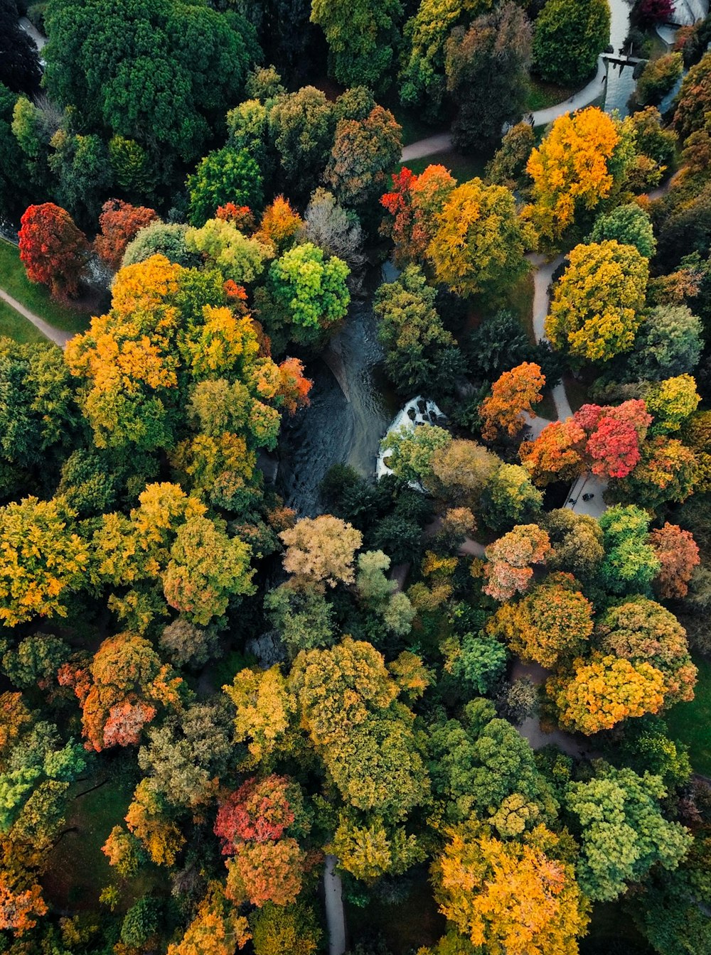 an aerial view of a road surrounded by trees