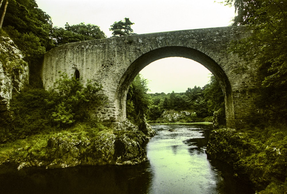 a stone bridge over a river surrounded by trees