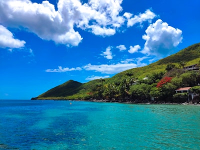 a body of water surrounded by a lush green hillside