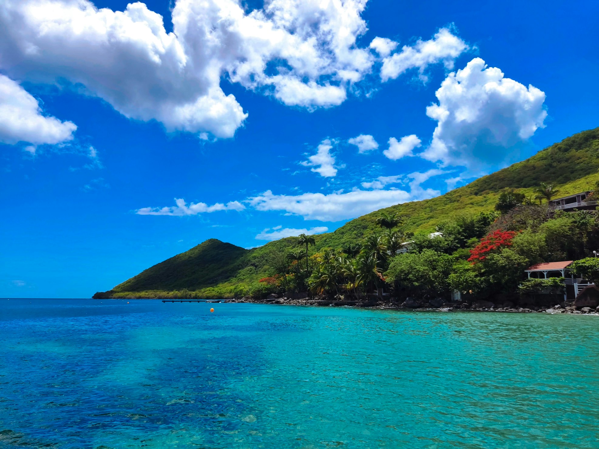 Foto della bellissima costa dell'isola di Martinica nei Caraibi
