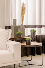 a living room filled with furniture and a plant