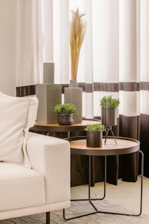 a living room filled with furniture and a plant