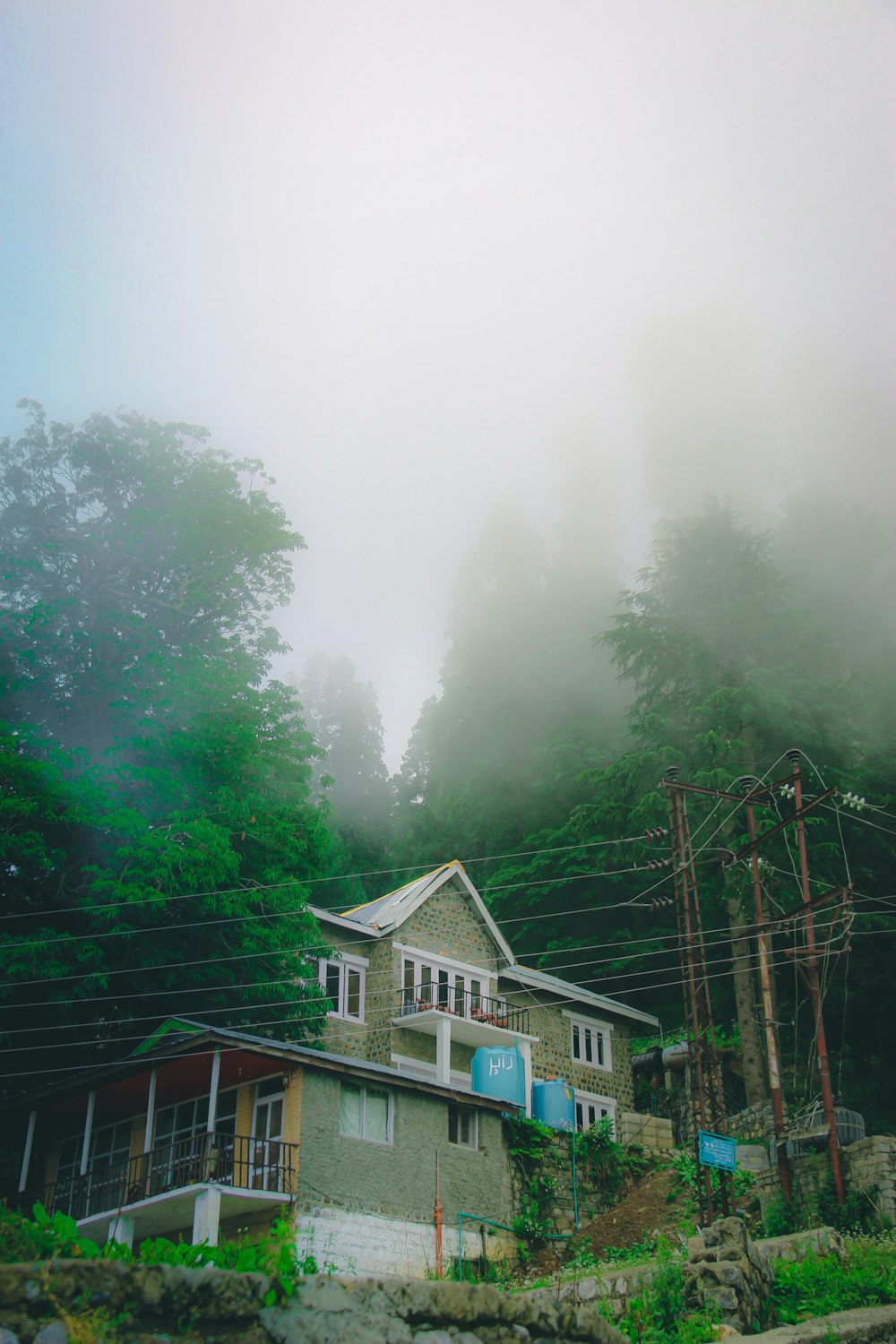 a house in the middle of a forest on a foggy day