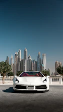 A sleek rental car parked in front of a scenic city backdrop.