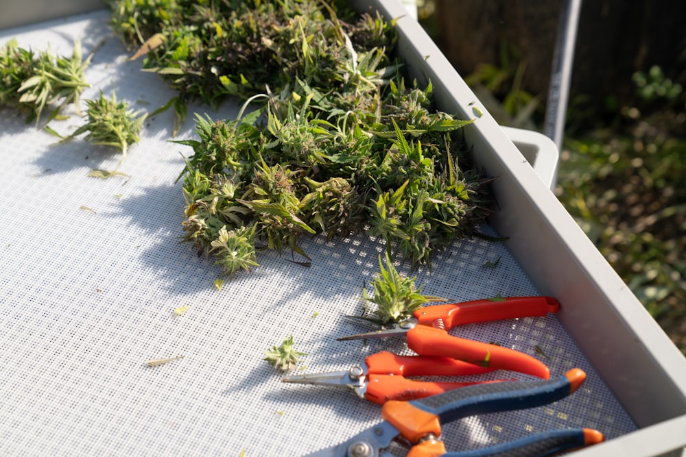 a bunch of carrots that are on a table