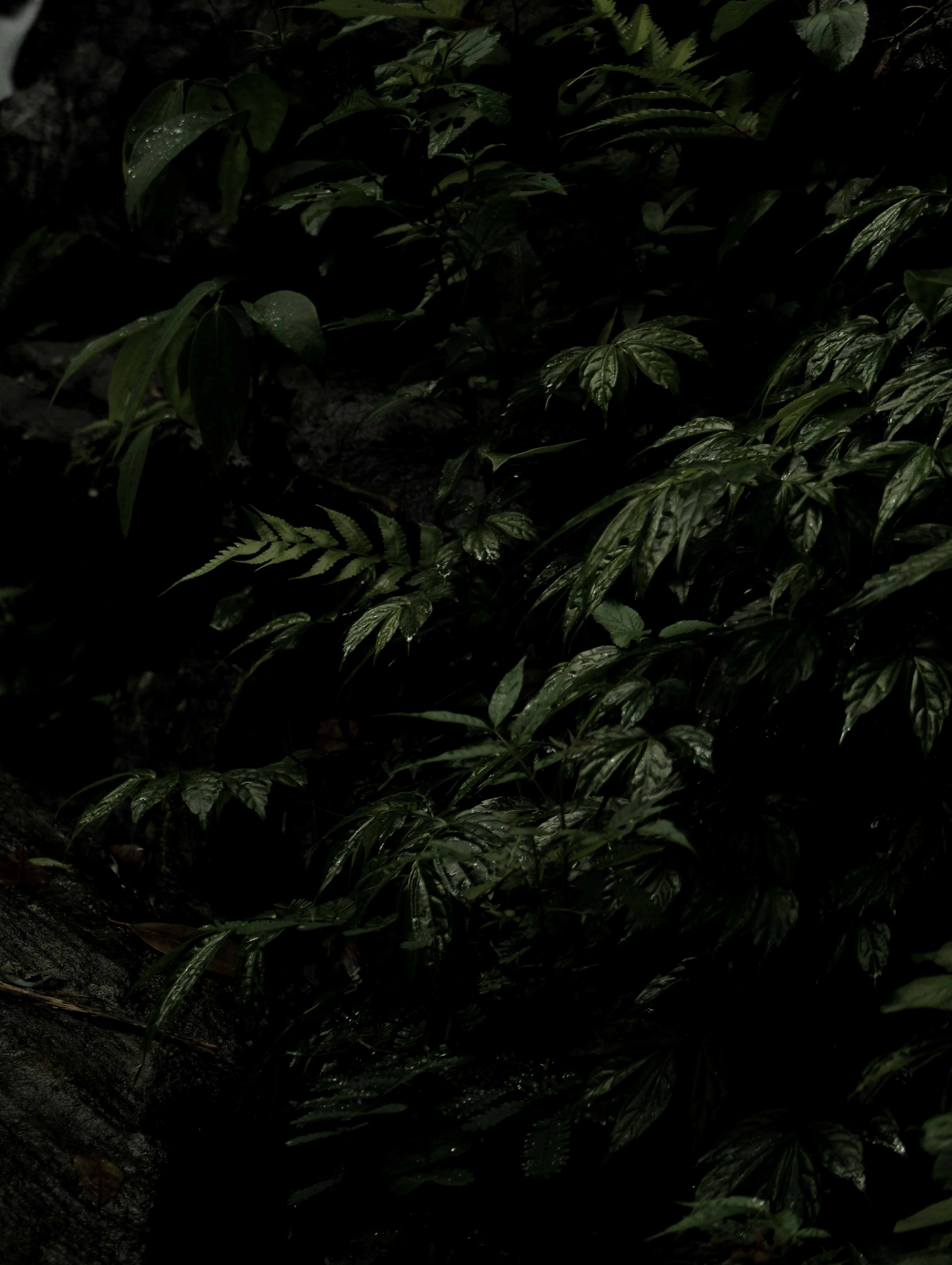 Photo by hemand_radhakrishnan