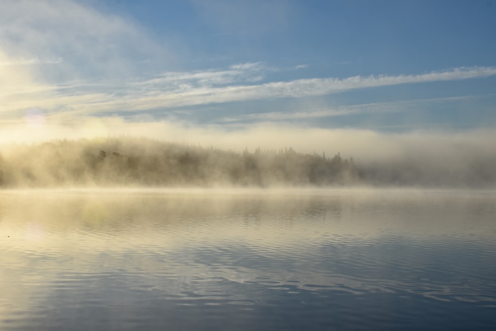 un cuerpo de agua rodeado de niebla y árboles