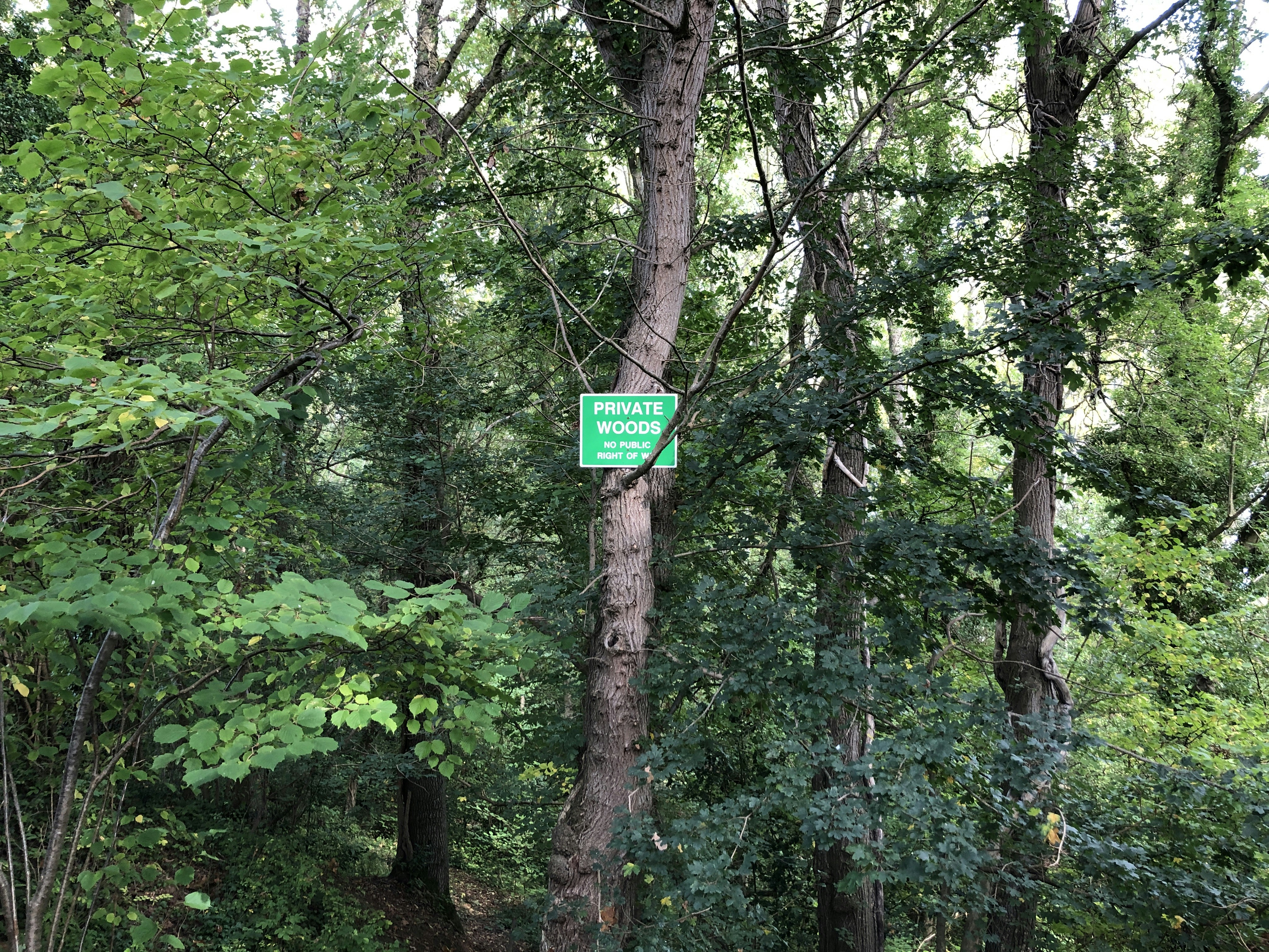 photo 1634825970814 1eec74117941?crop=entropy&cs=tinysrgb&fit=max&fm=jpg&ixid=M3w1MjQ0NjR8MHwxfHNlYXJjaHw4fHxXYXJuaW5nJTIwc2lnbnxlbnwwfDB8fHwxNzI5MDAxMjkzfDA&ixlib=rb 4.0