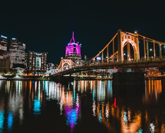 a large bridge over a river with a city in the background