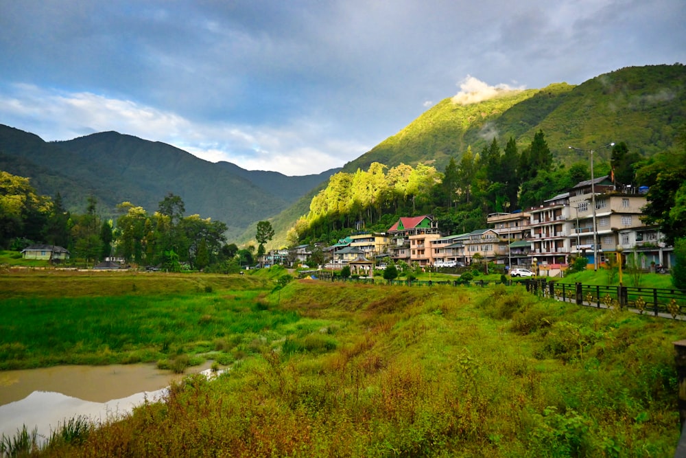 a river running through a lush green valley