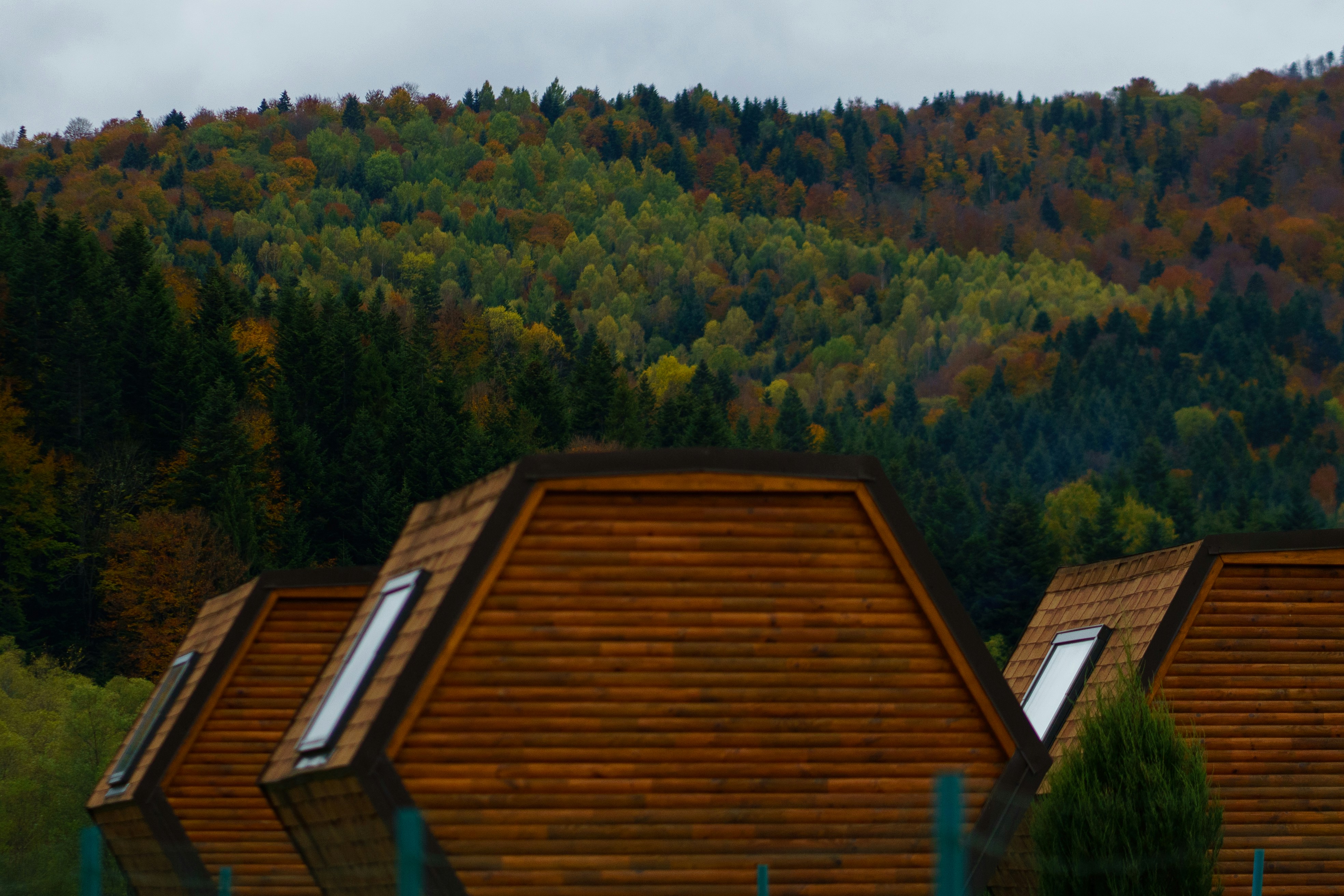 SUV roof box mountains, ilustrasi artikel Maximize Your Adventure: The Best Cargo Boxes for Extra Camping Storage 5