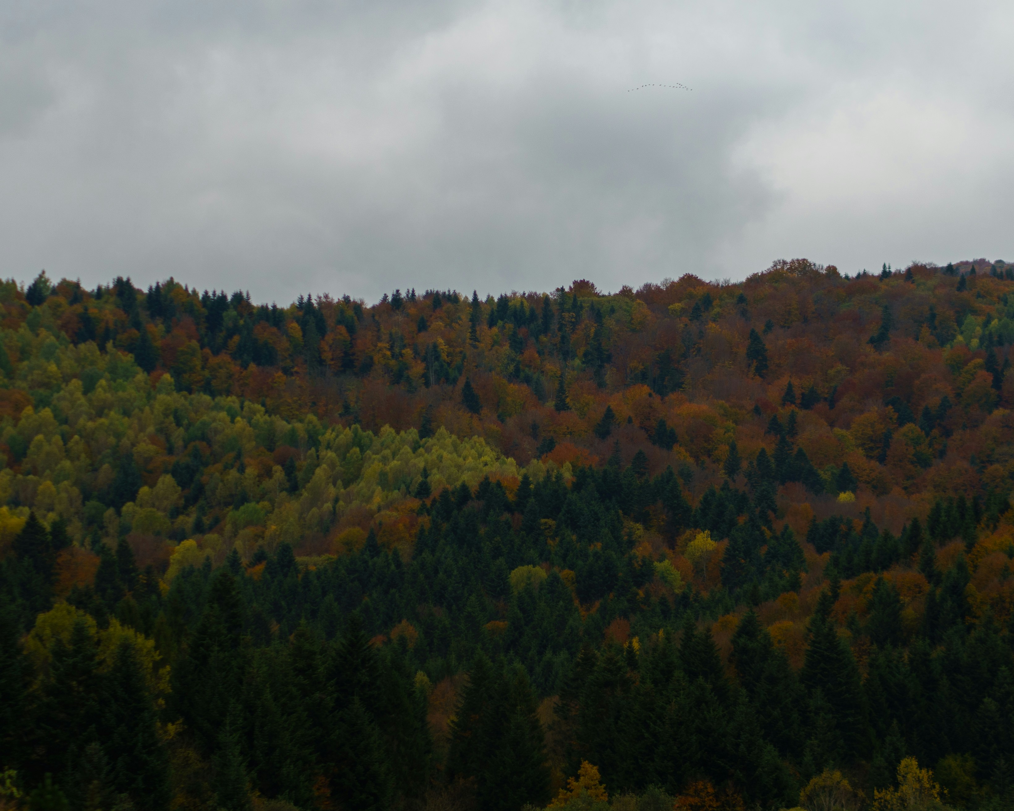 Photo by eugenechystiakov