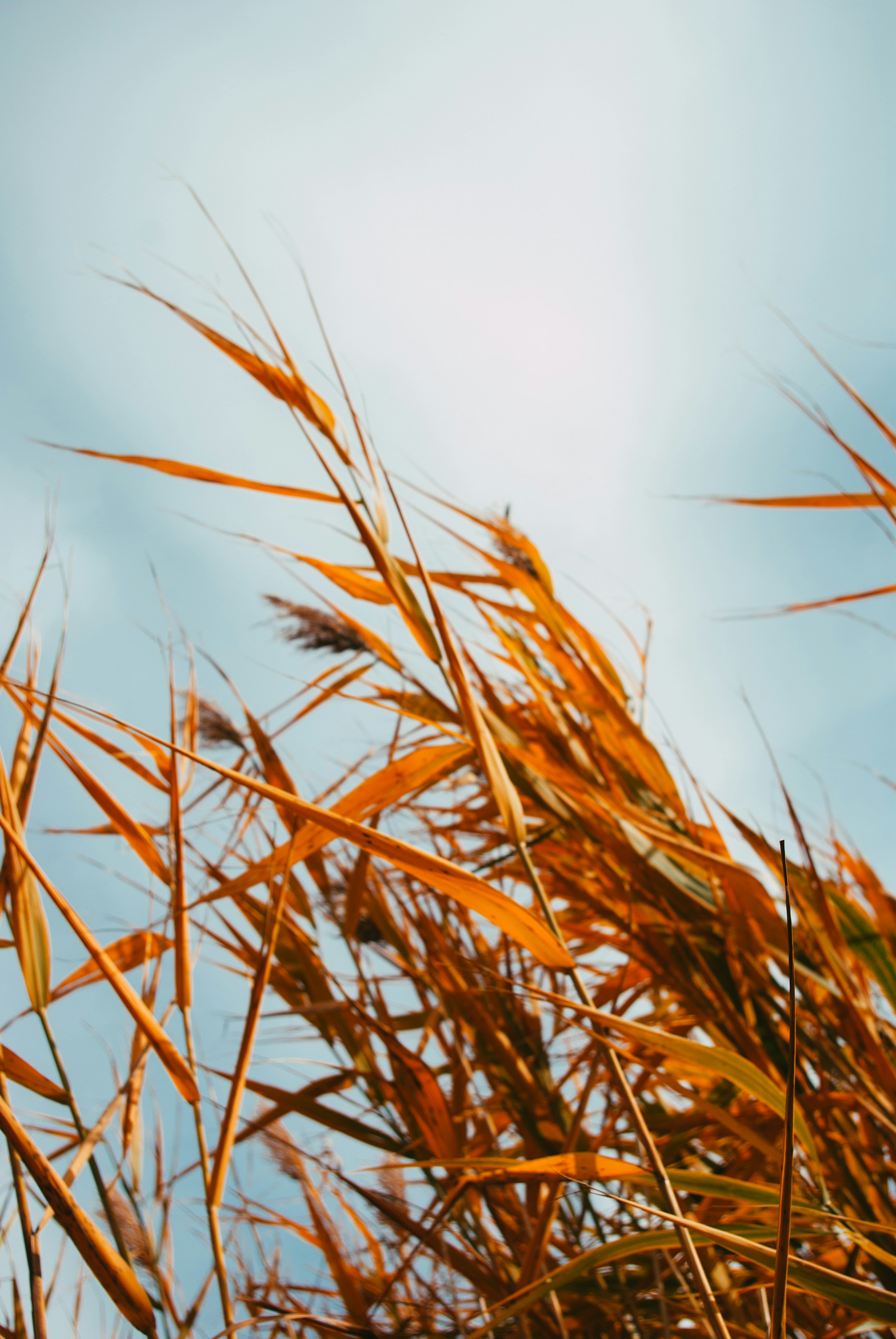 Photo by moonmoons_days