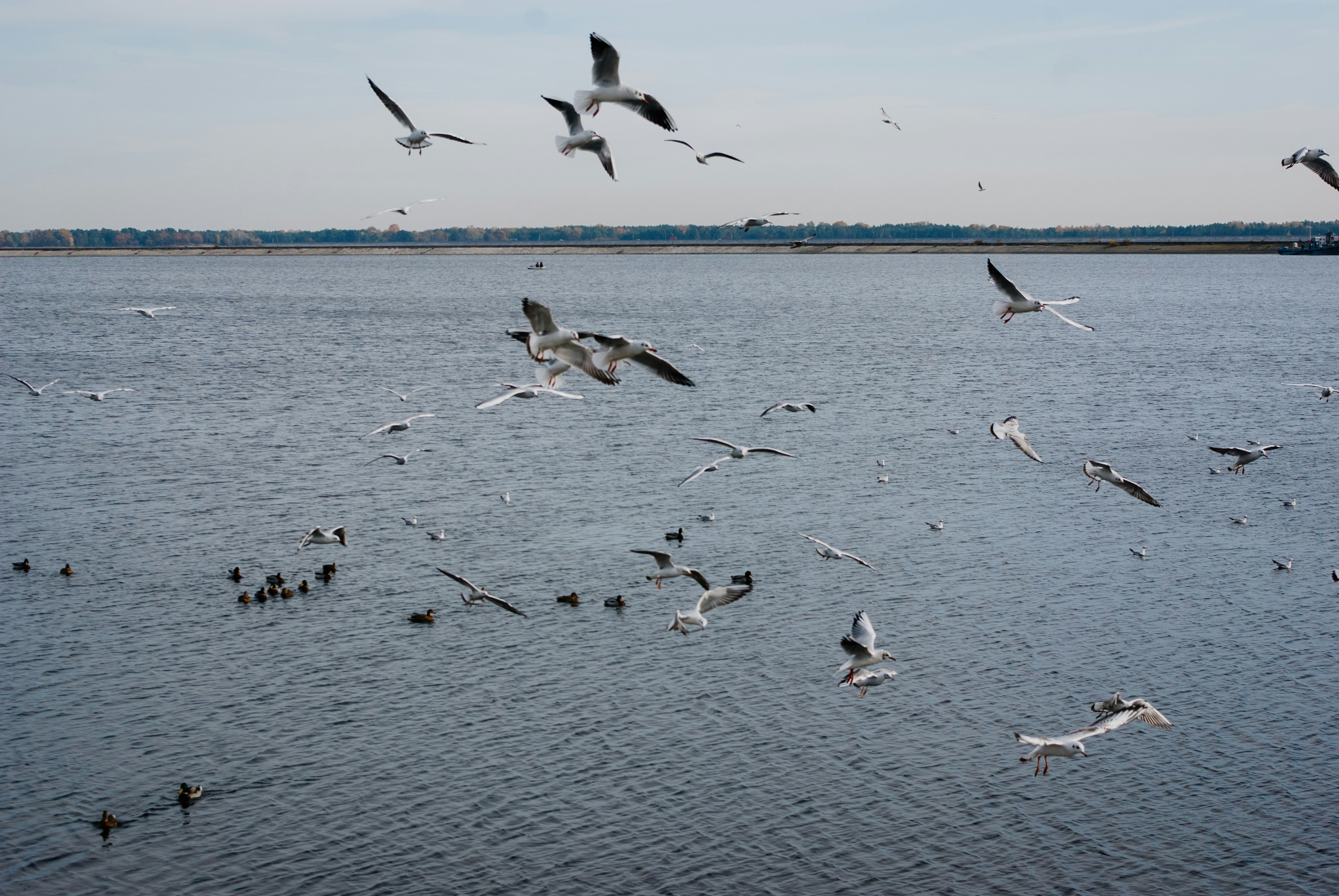 Photo by moonmoons_days