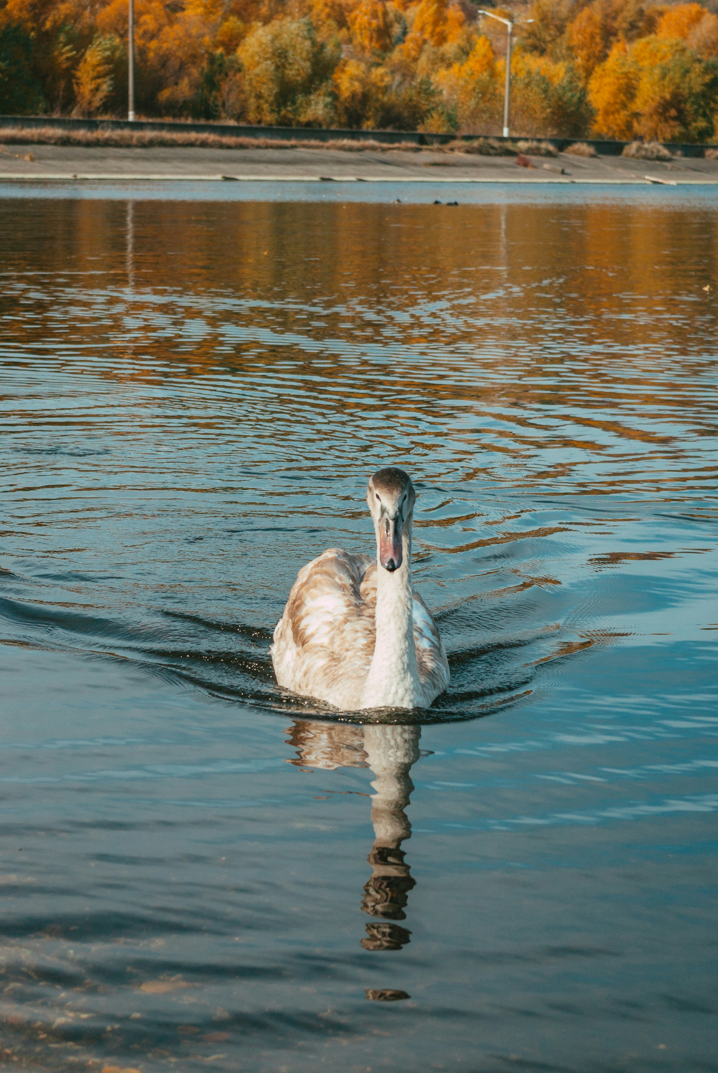 Photo by moonmoons_days