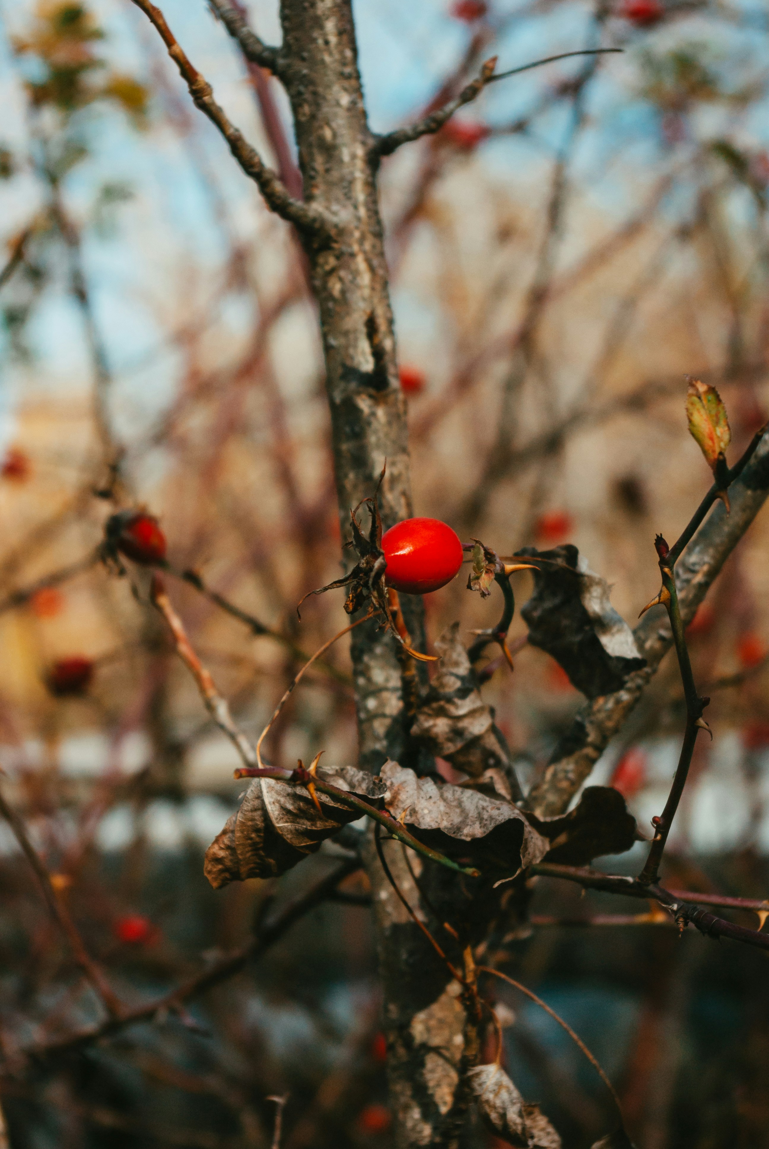 Photo by moonmoons_days