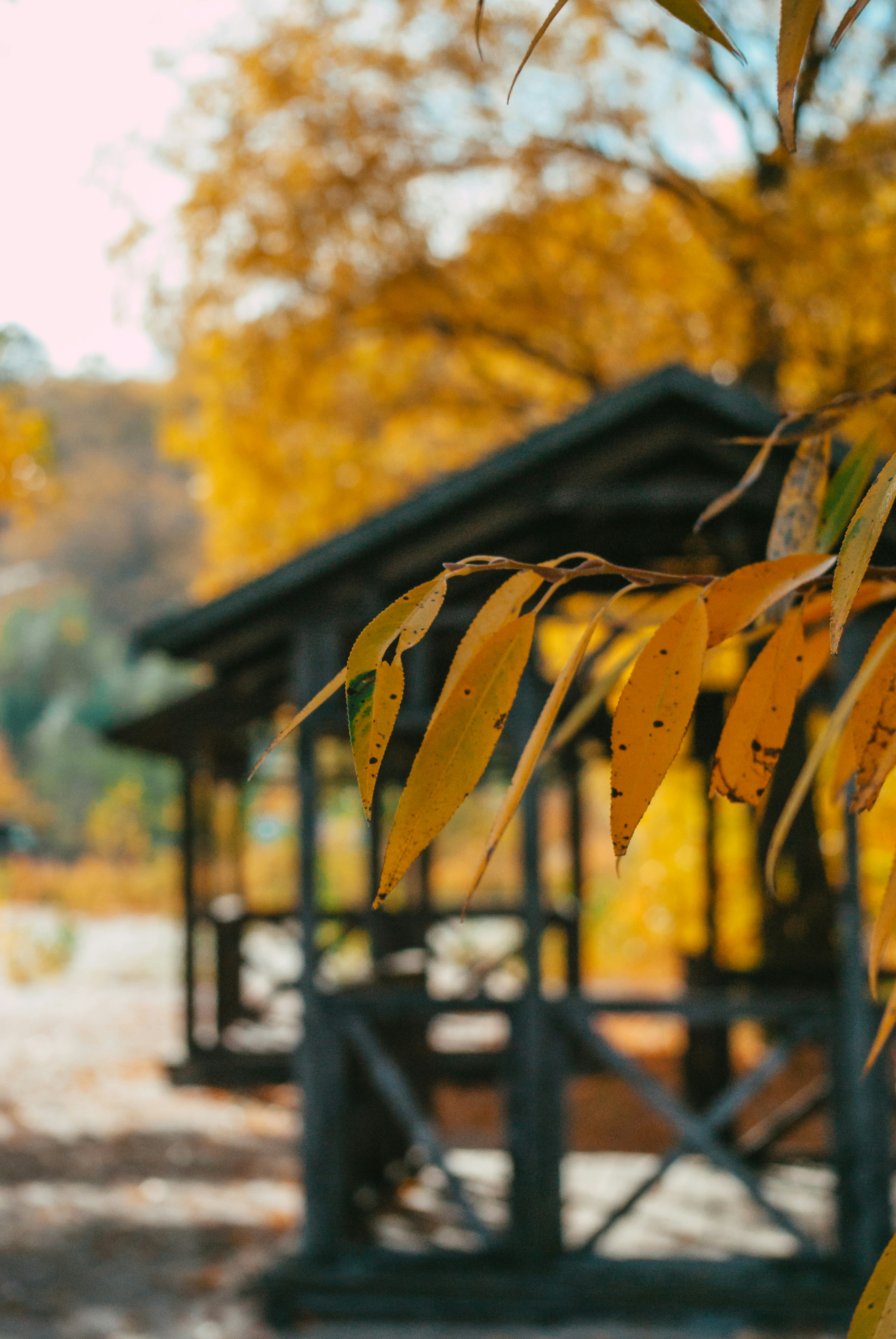 Photo by moonmoons_days