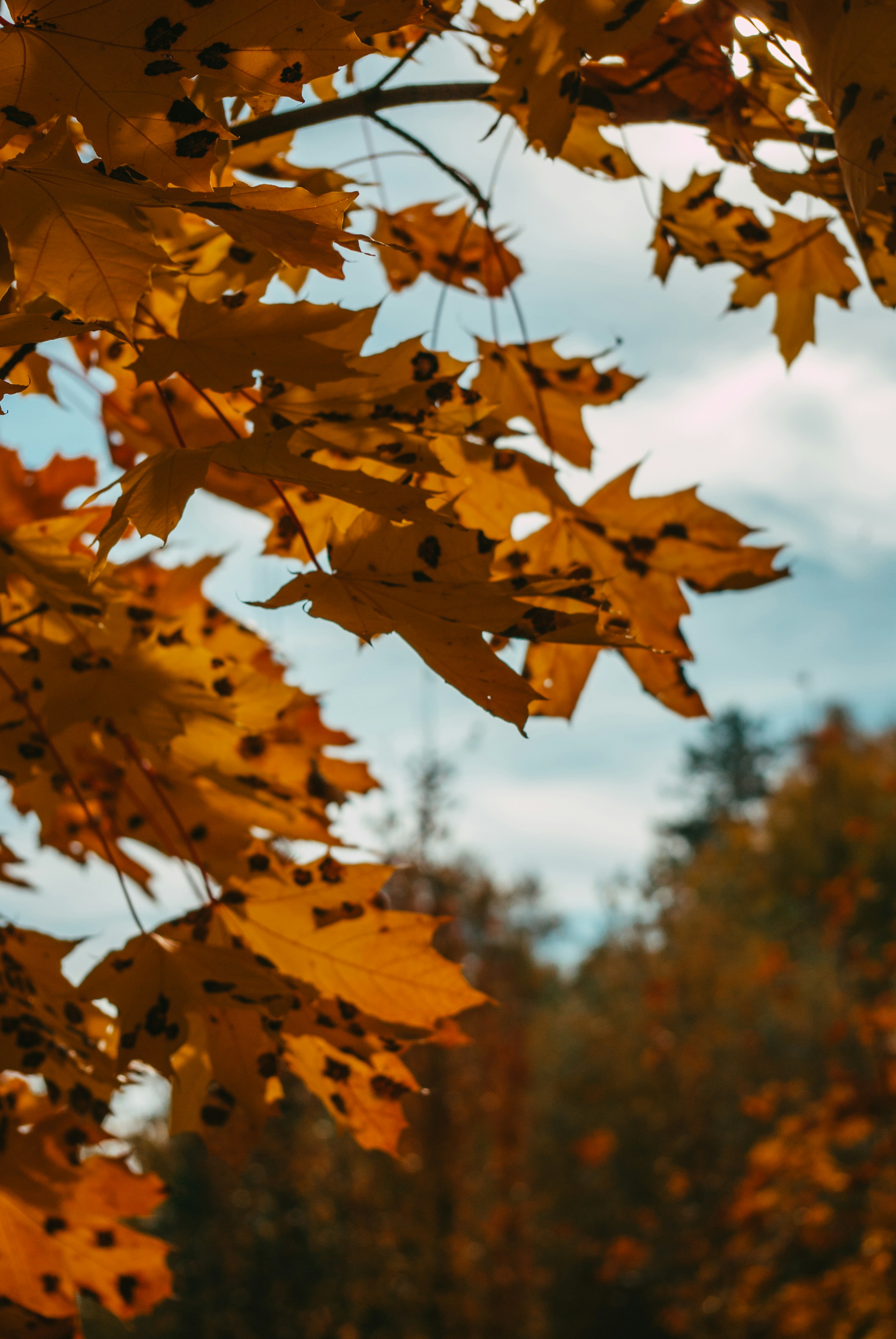 Photo by moonmoons_days