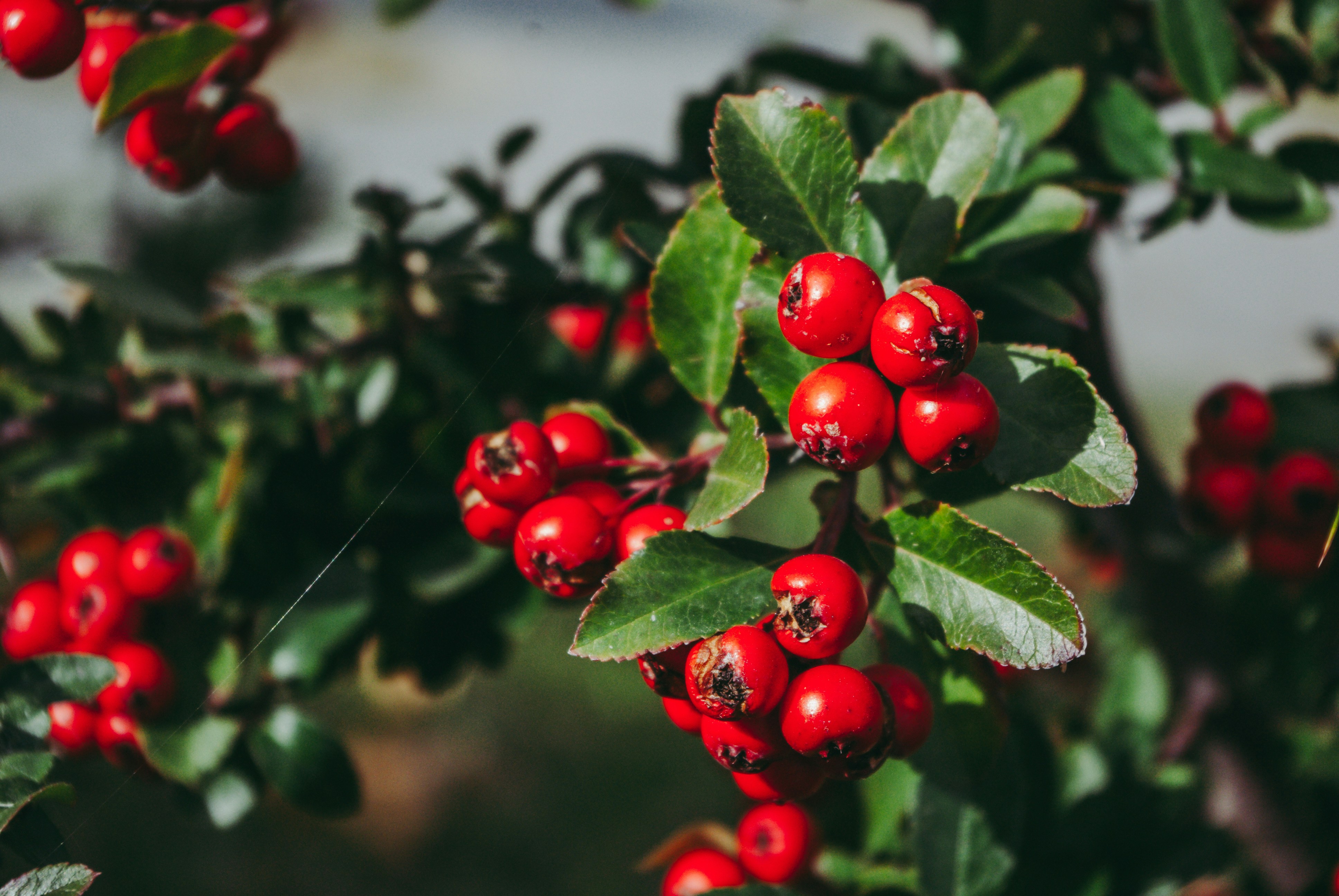 Photo by moonmoons_days