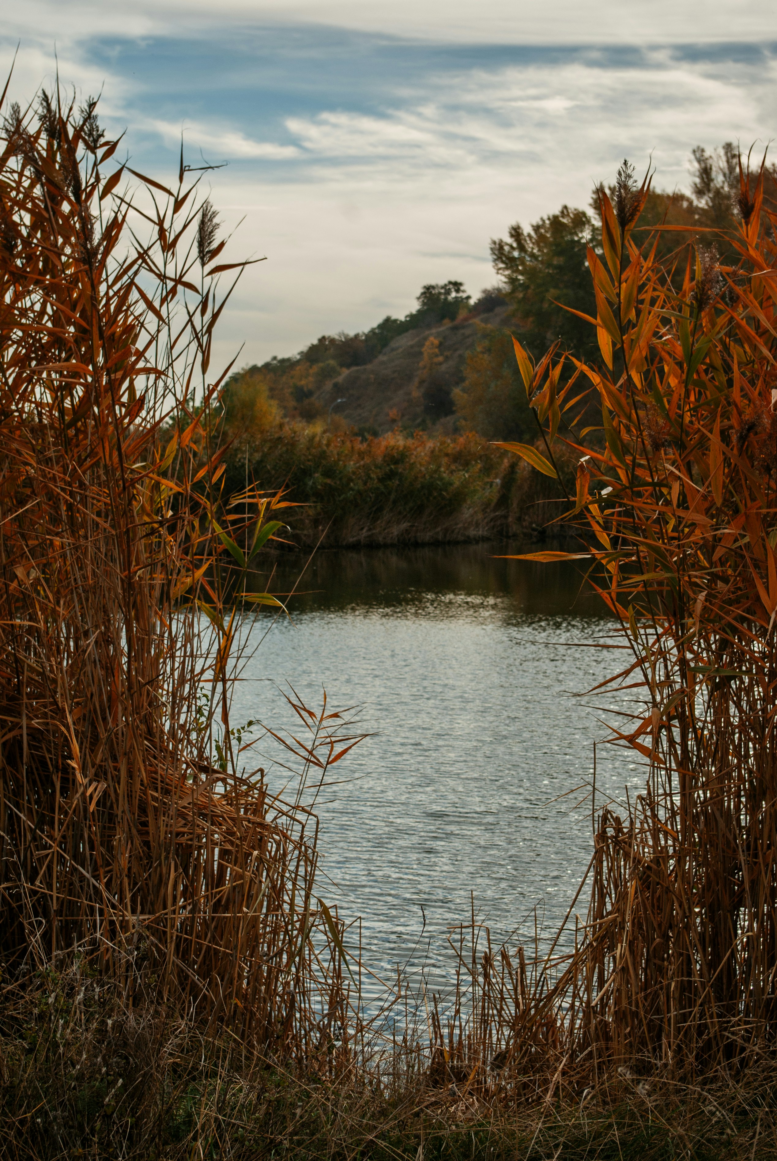 Photo by moonmoons_days