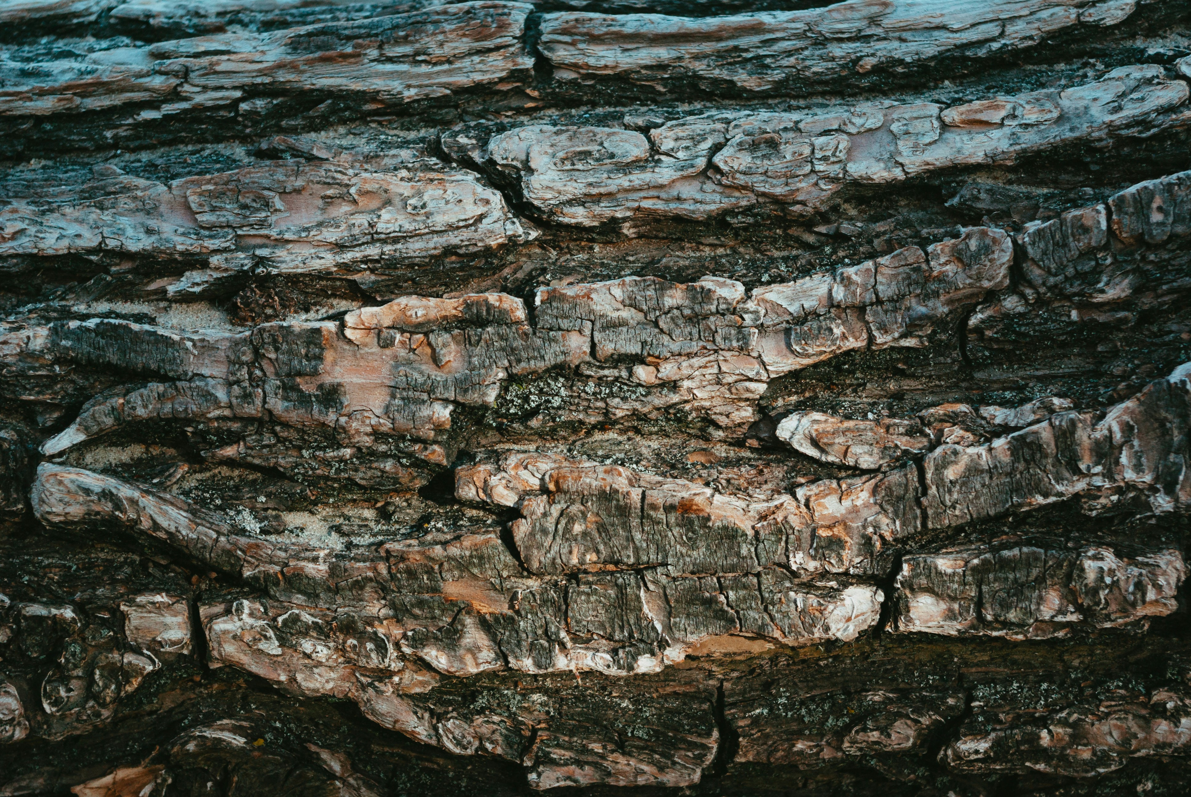 Photo by moonmoons_days