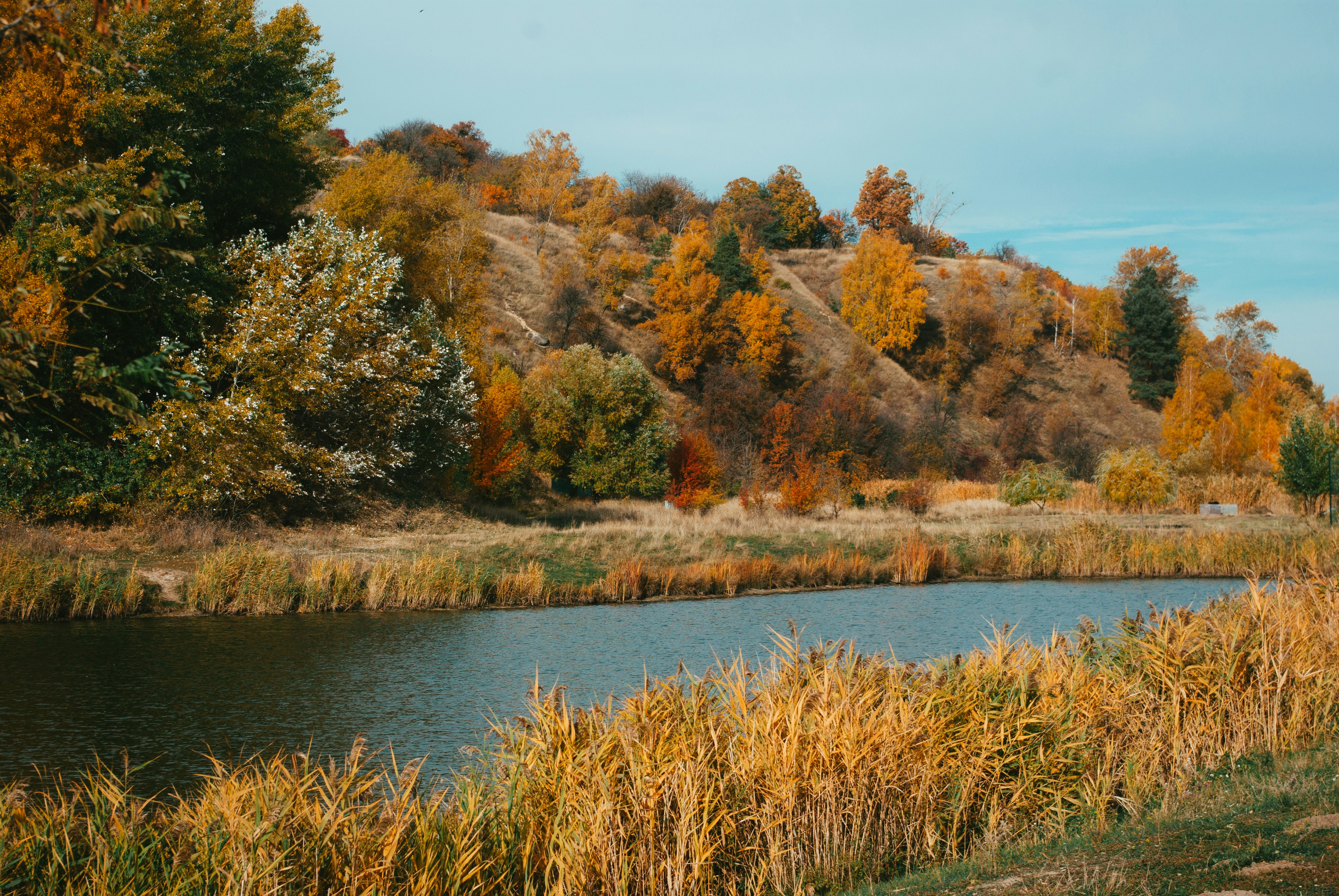 Photo by moonmoons_days