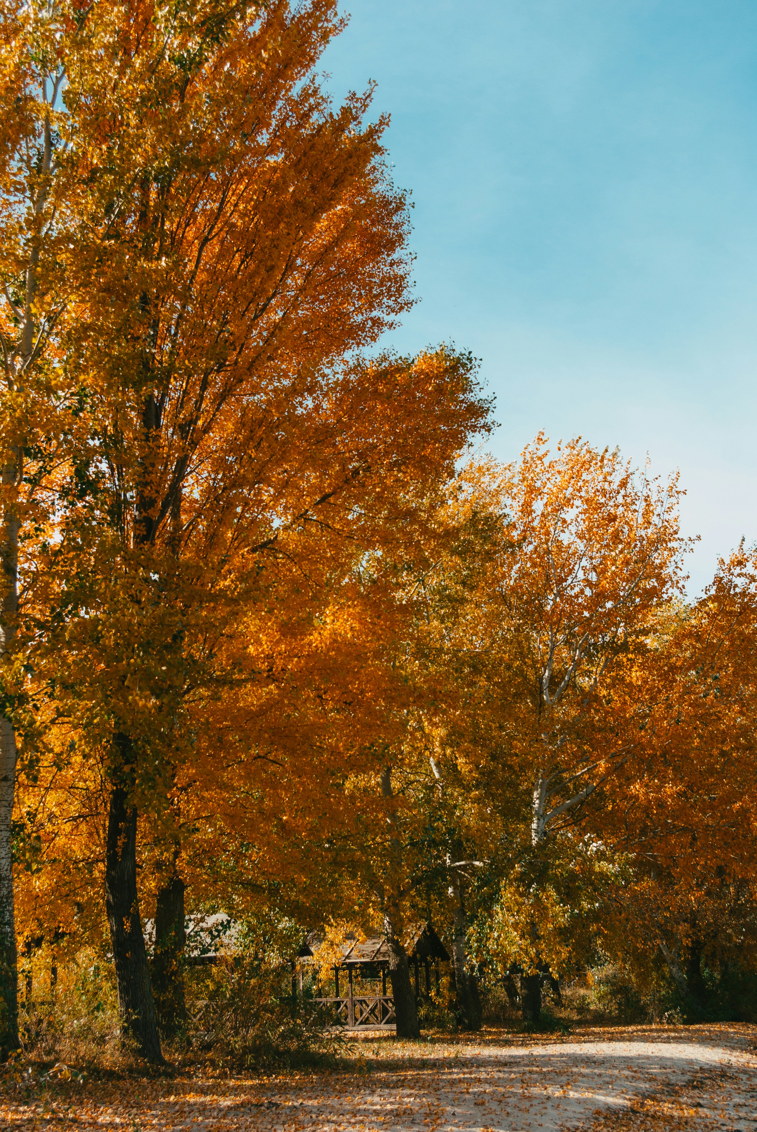 Photo by moonmoons_days