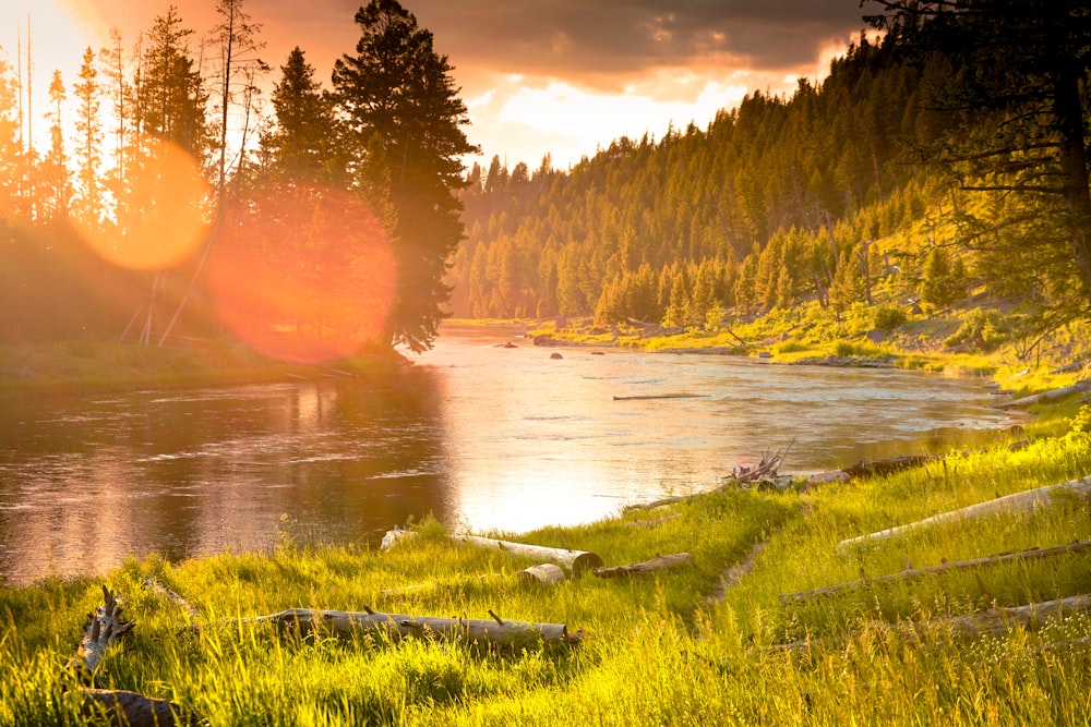 the sun is setting over a river in the woods