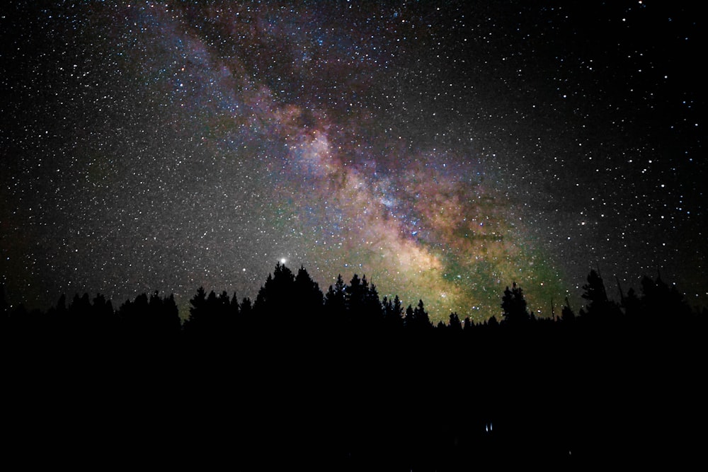 a group of people in a dark sky