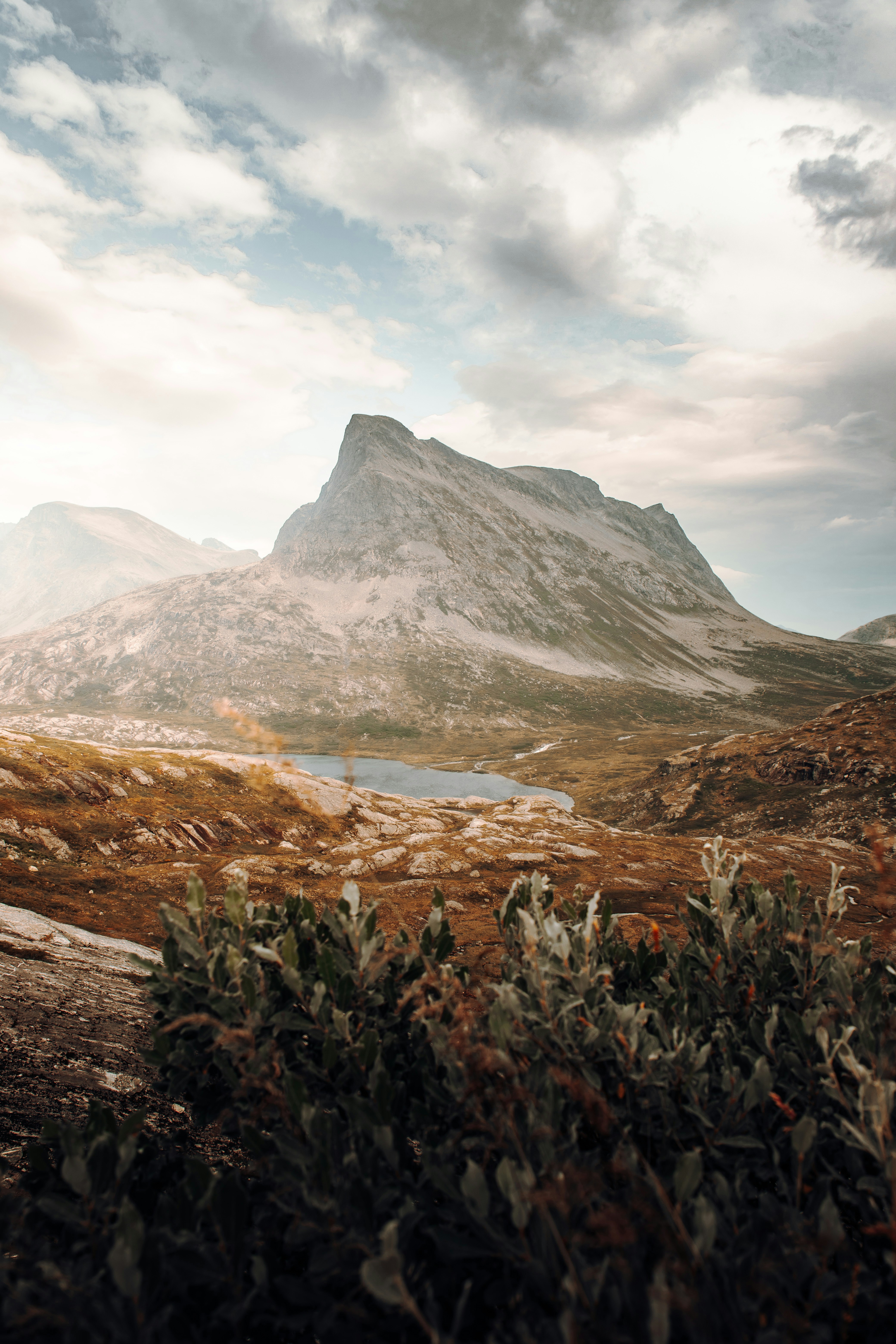 Photo by danieljschwarz