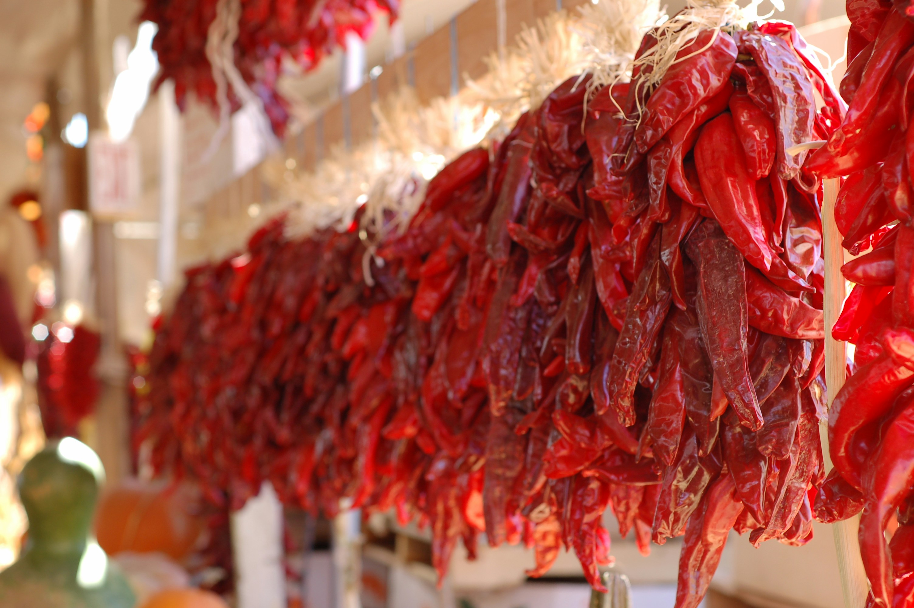 a bunch of red peppers hanging from a line