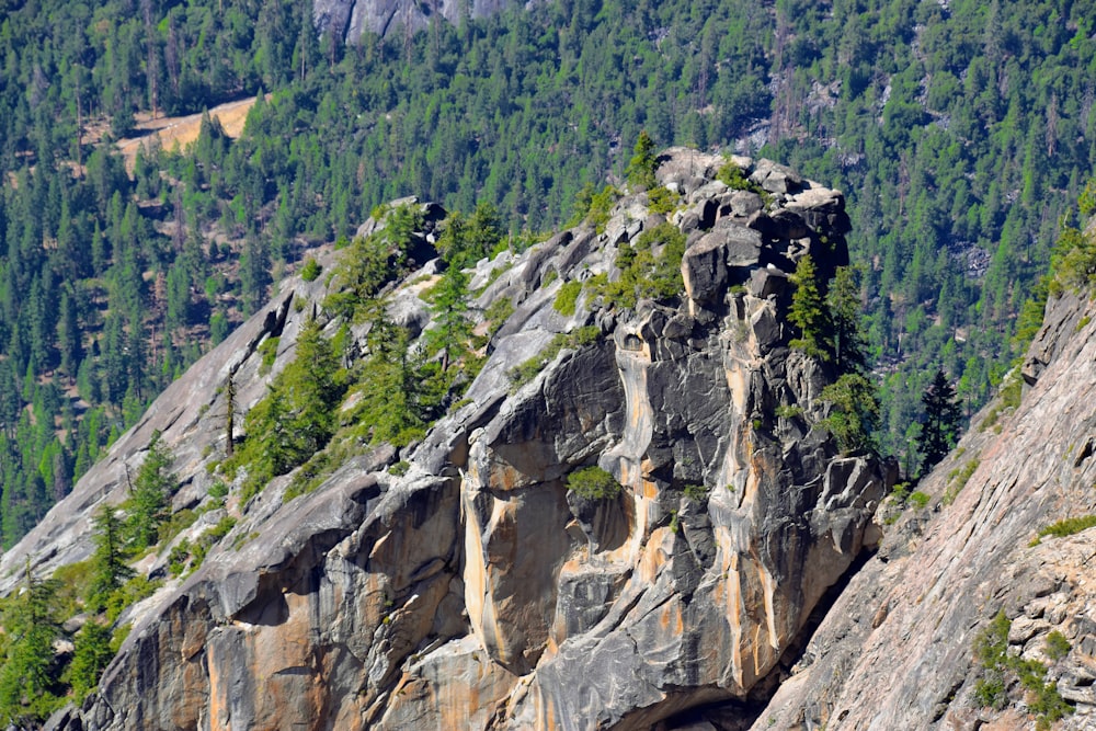 a rocky cliff with trees growing out of it