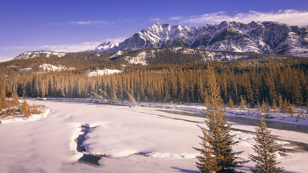 una montaña cubierta de nieve con un río que la atraviesa