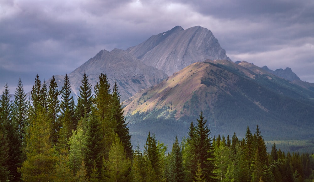 a mountain range with trees in the foreground and a cloudy sky in the background