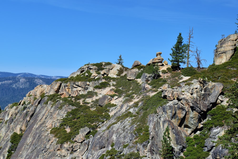 a rocky mountain with a few trees on top of it