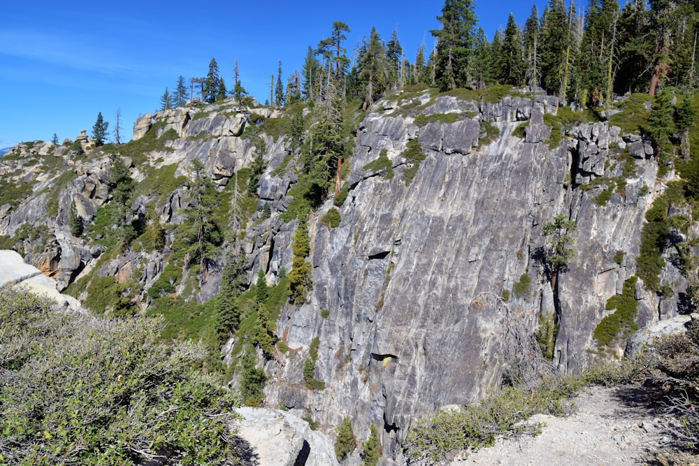 a rocky cliff with trees growing on it