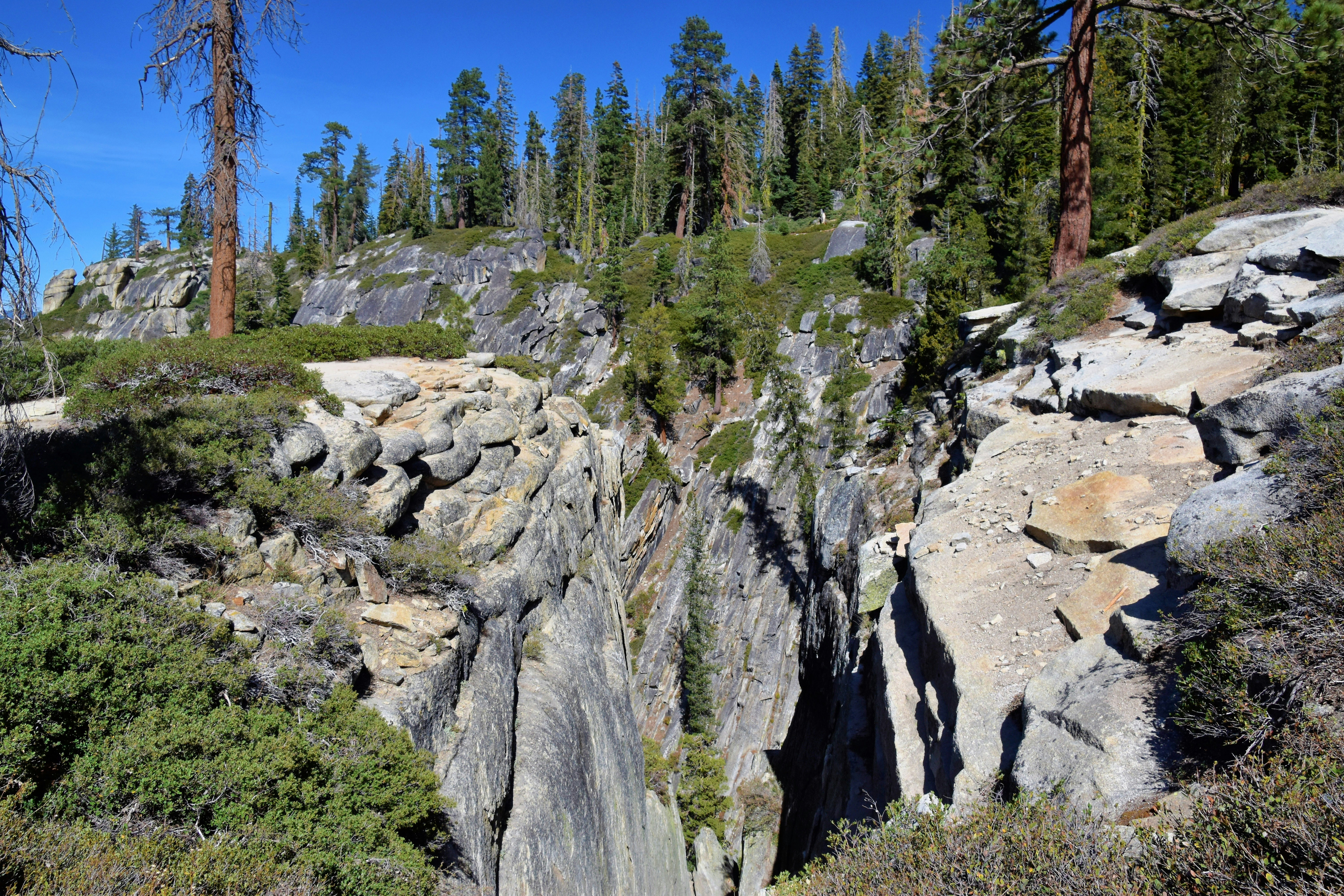 a rocky area with trees and rocks in the foreground