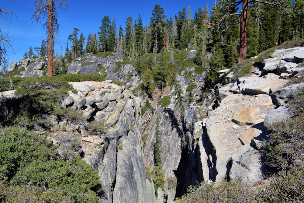 a rocky area with trees and rocks in the foreground