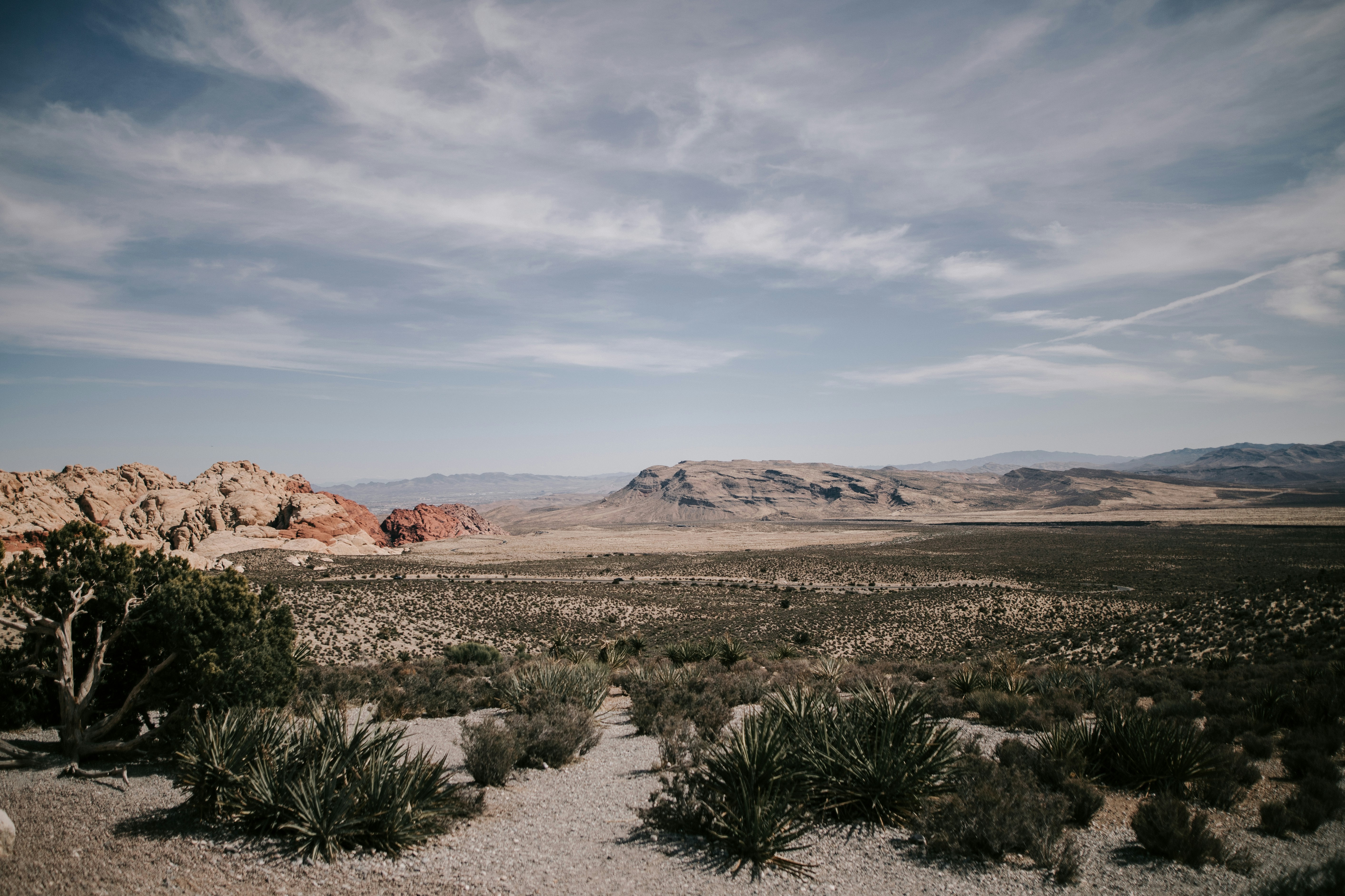 Tejon Park