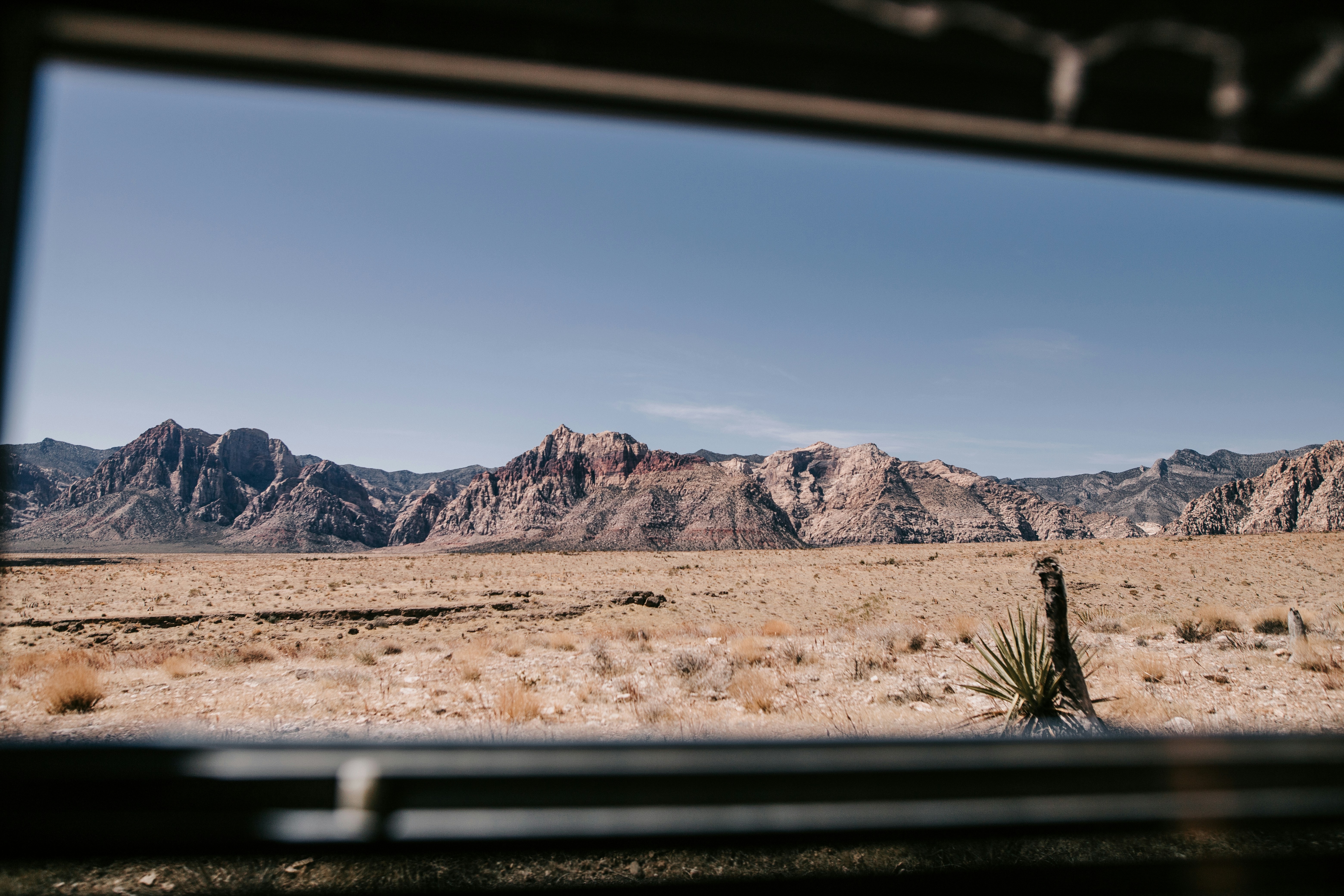 Photo by dillydallying