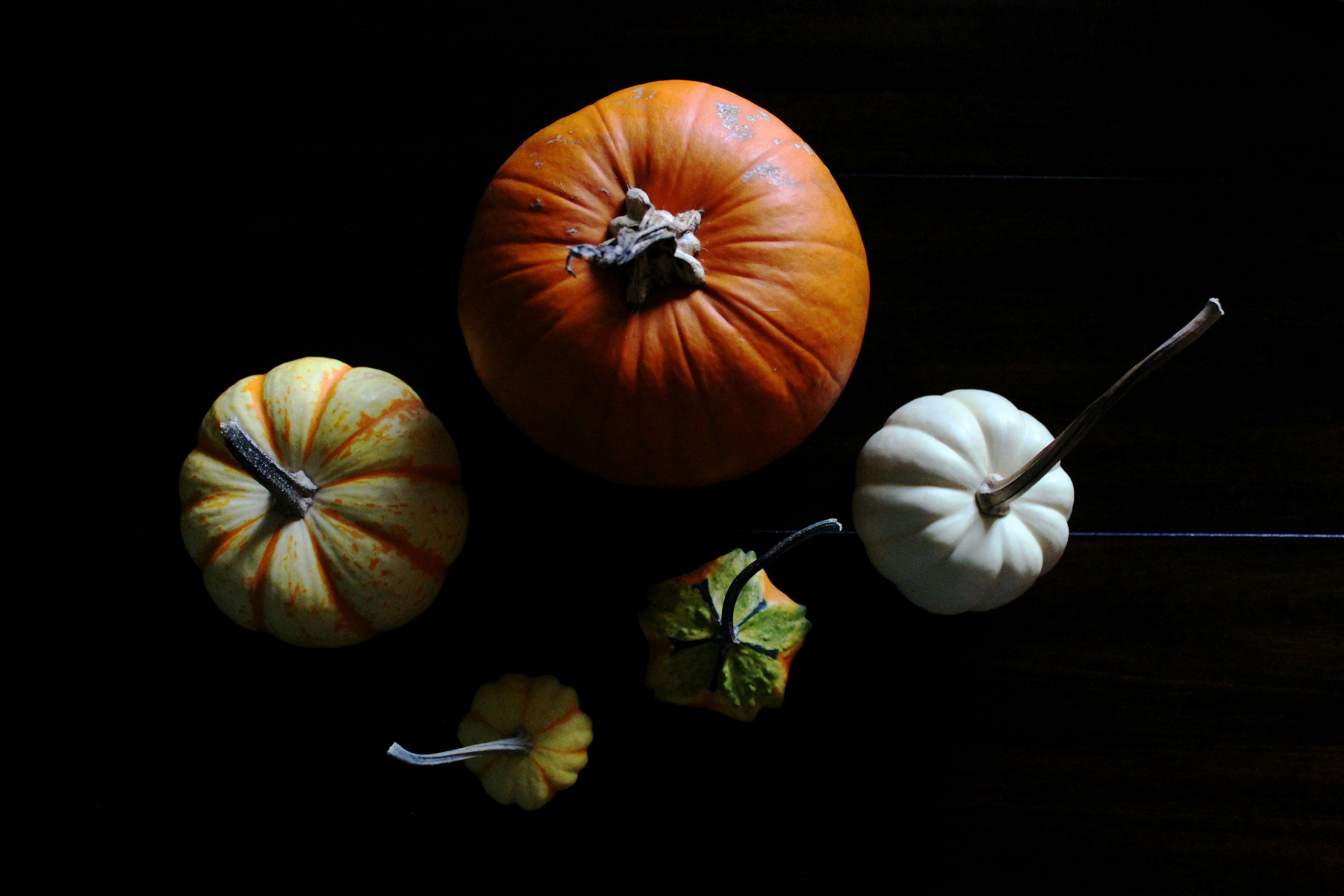 Citrouilles à l'orange photo – Image gratuite de Wallpapers sur Unsplash, image size:3000x2000