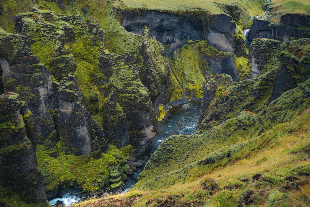 a river flowing through a lush green canyon