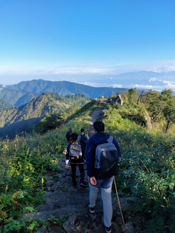 A group of hikers trekking through a lush green mountain trail under a bright blue sky